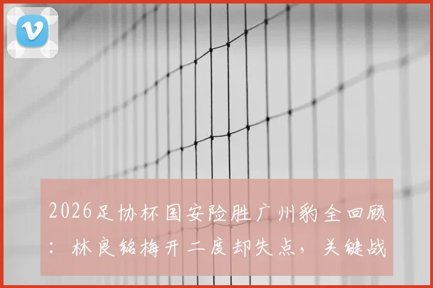 2026足协杯国安险胜广州豹全回顾：林良铭梅开二度却失点，关键战报与球员表现深度解读